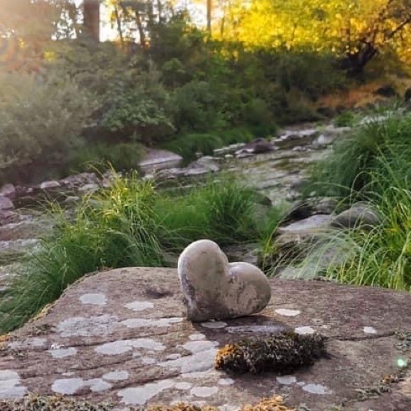 Meet your Posher, Kathy - Picture 1 of 3